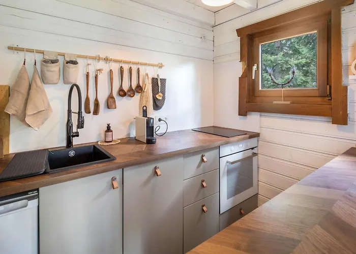 Almhuette Ulrichstein